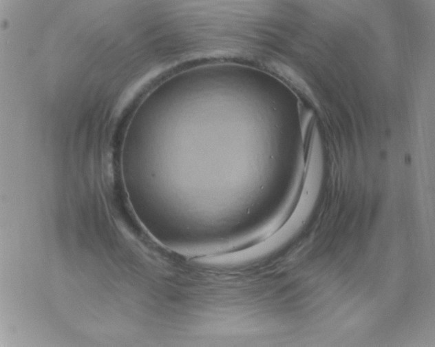 X0000075890676200610062053