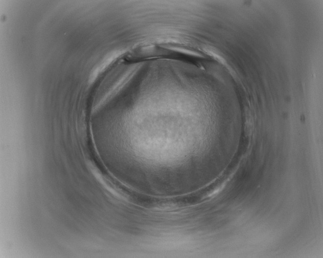 X0000075890677200610062053