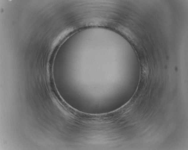 X0000075890678200610062053