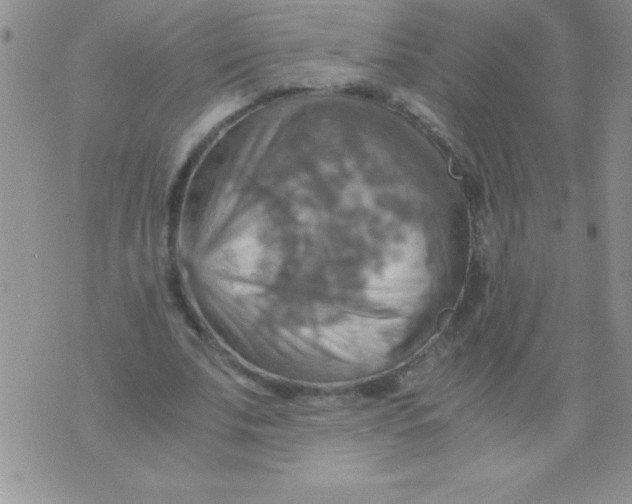 X0000075890679200610062053