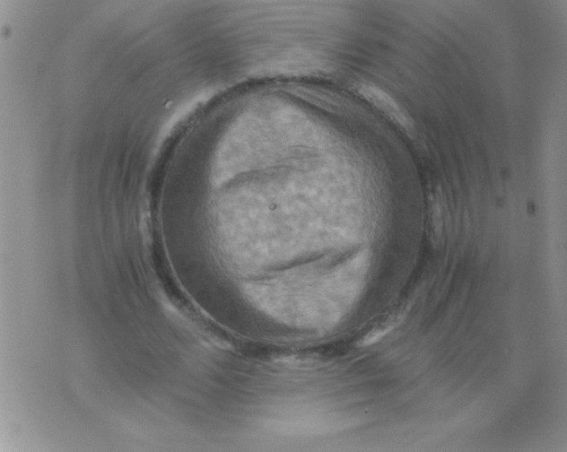 X0000075890680200610062053