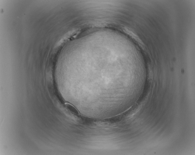 X0000075890681200610062053