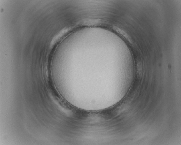 X0000075890682200610062053