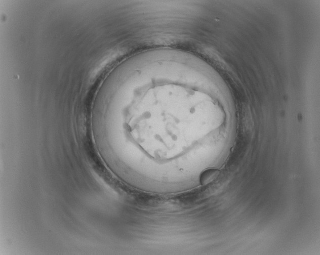 X0000075890683200610062053