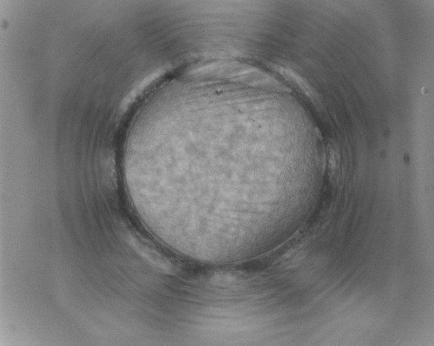 X0000075890684200610062053