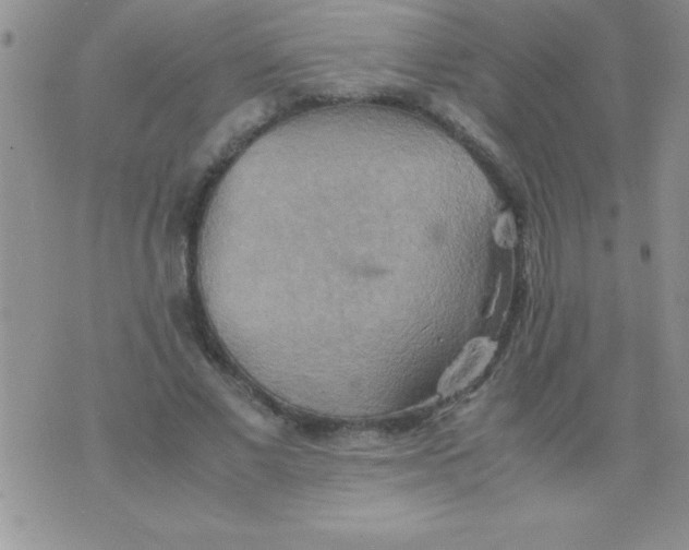 X0000075890685200610062053