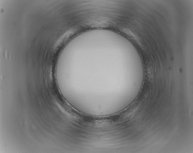 X0000075890686200610062053