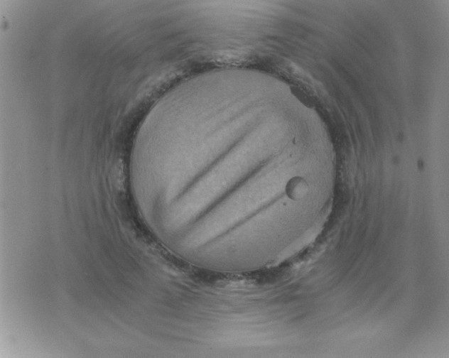 X0000075890689200610062053