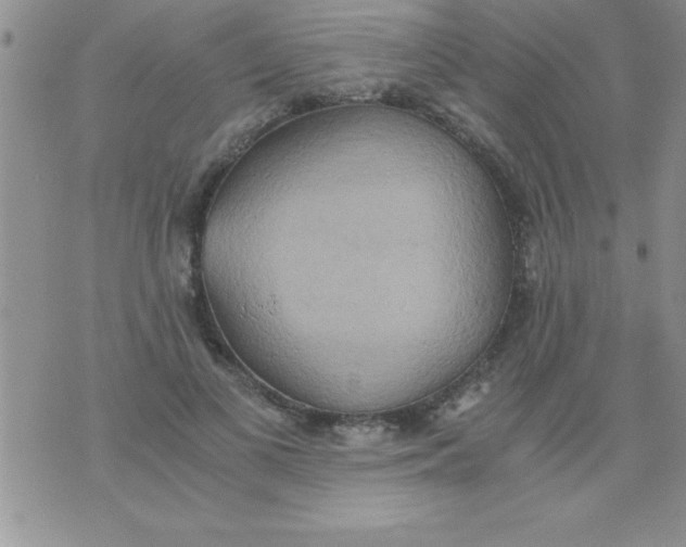 X0000075890693200610062053