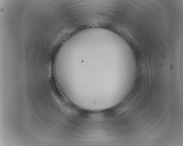 X0000075890694200610062053