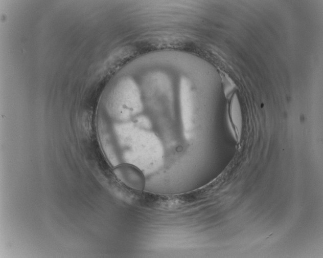 X0000075890695200610062053