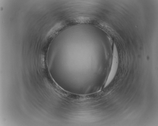 X0000075890696200610062053