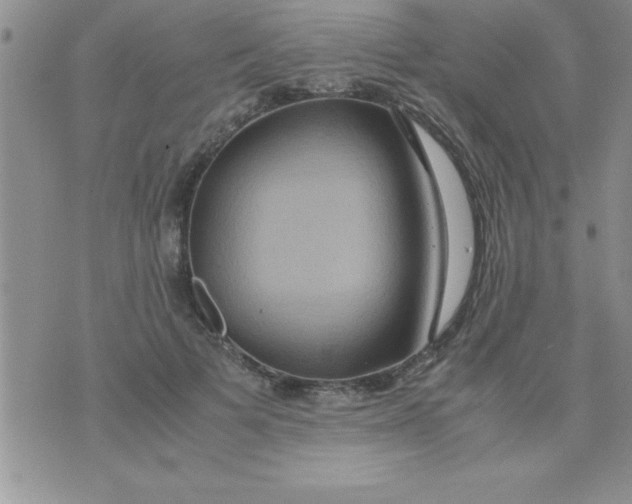 X0000075890697200610062053