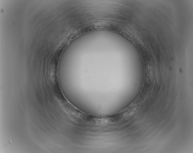 X0000075890698200610062053