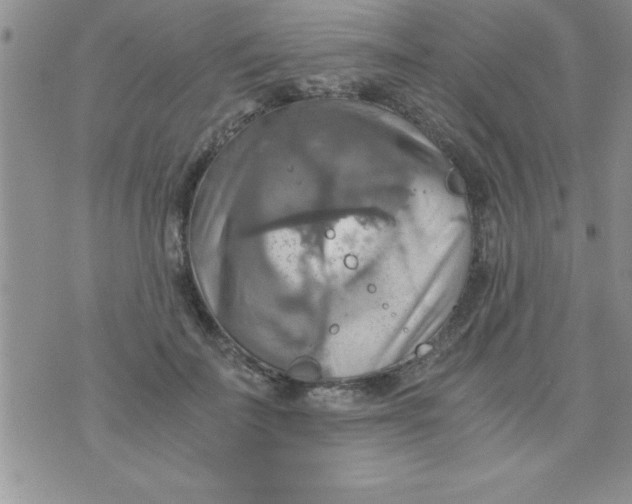 X0000075890699200610062053