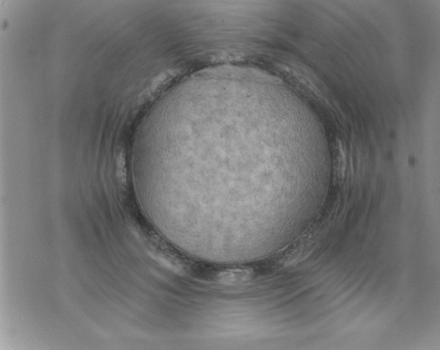 X0000075890700200610062053