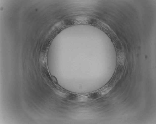 X0000075890701200610062053