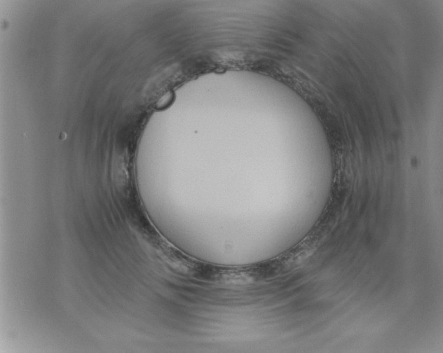 X0000075890702200610062053