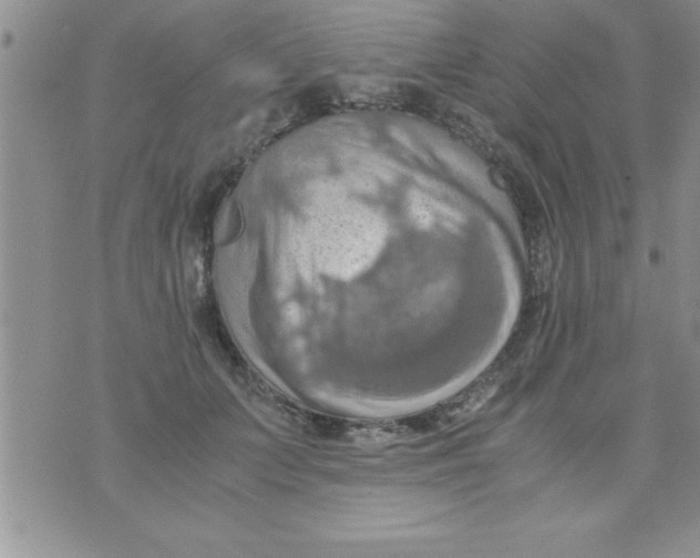 X0000075890703200610062053