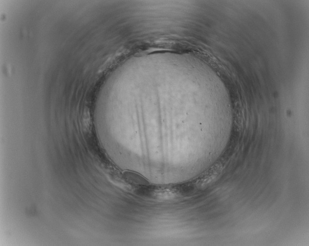 X0000075890704200610062053