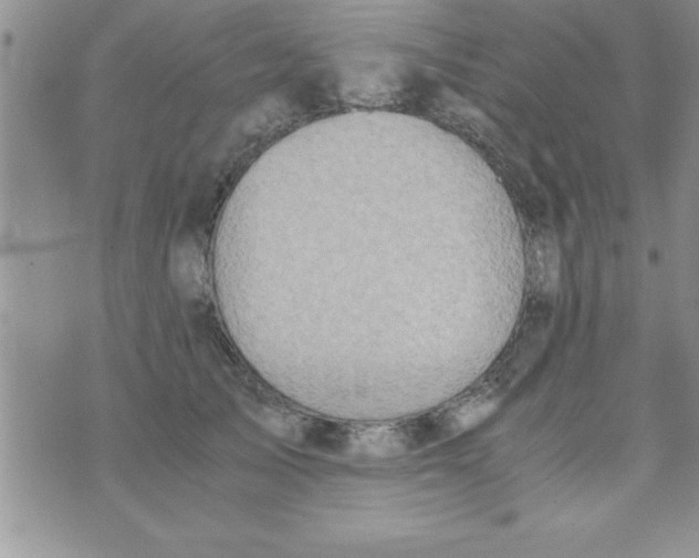 X0000075890705200610062053