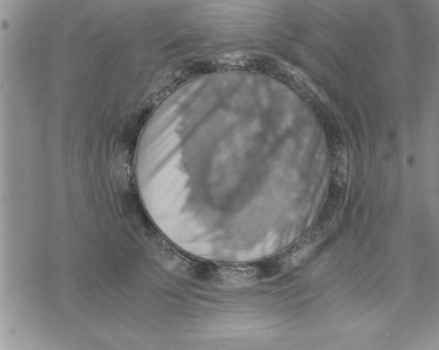 X0000075890707200610062053