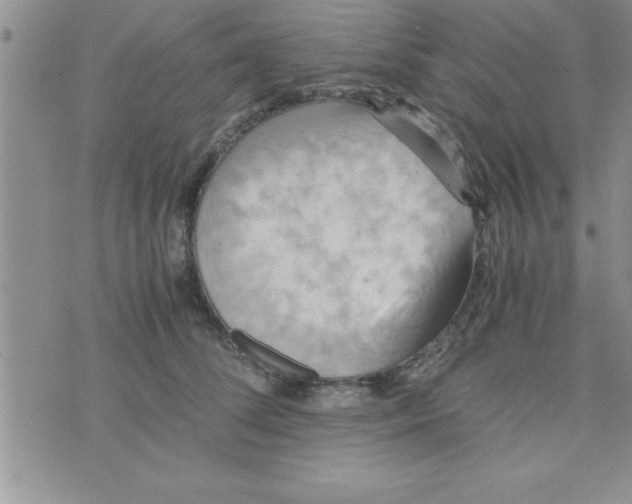 X0000075890708200610062053