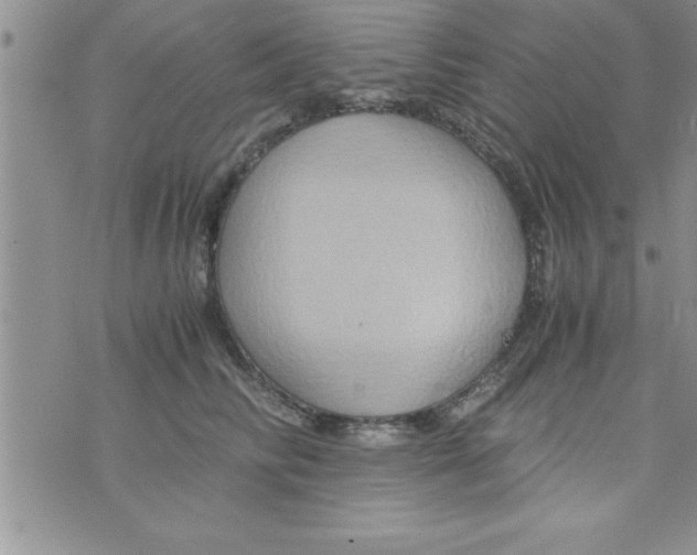 X0000075890710200610062053