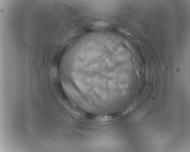 X0000075890711200610062053