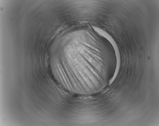 X0000075890712200610062053