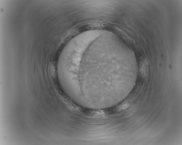 X0000075890715200610062053