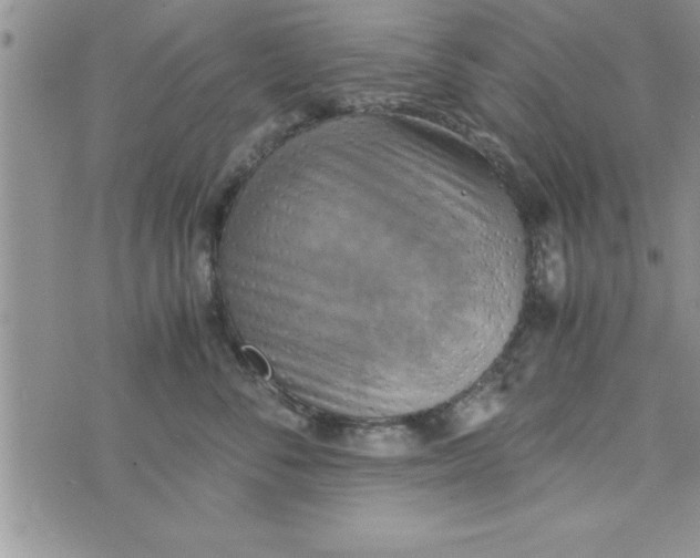 X0000075890716200610062053