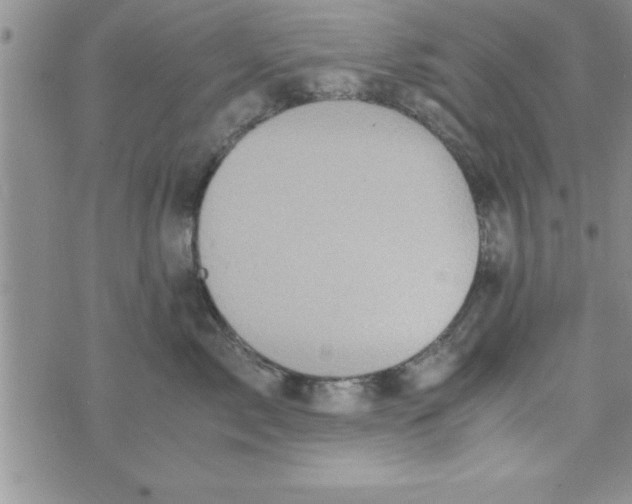 X0000075890717200610062053