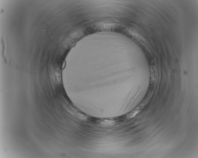 X0000075890718200610062053