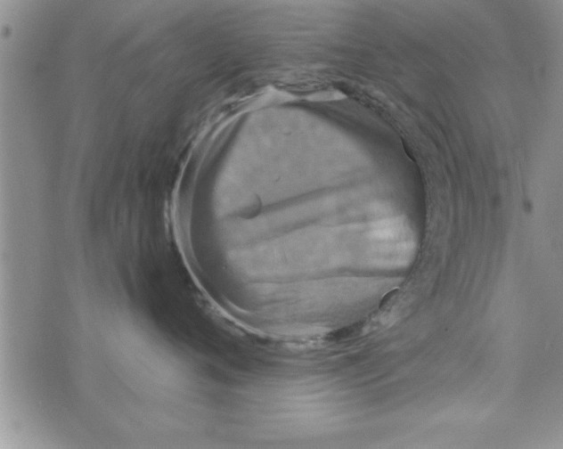 X0000075890720200610062053