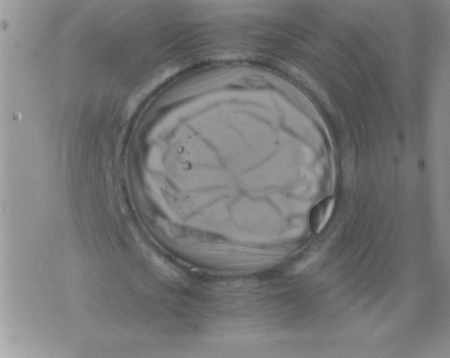 X0000075890721200610062052