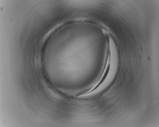 X0000075890722200610062052