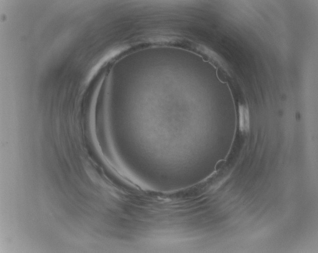 X0000075890723200610062052