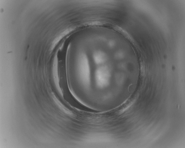 X0000075890725200610062052