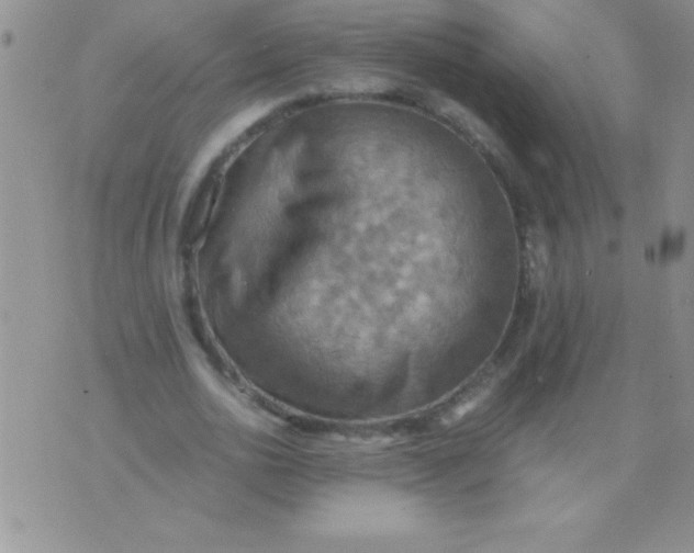 X0000075890726200610062052