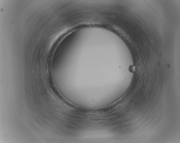 X0000075890727200610062052