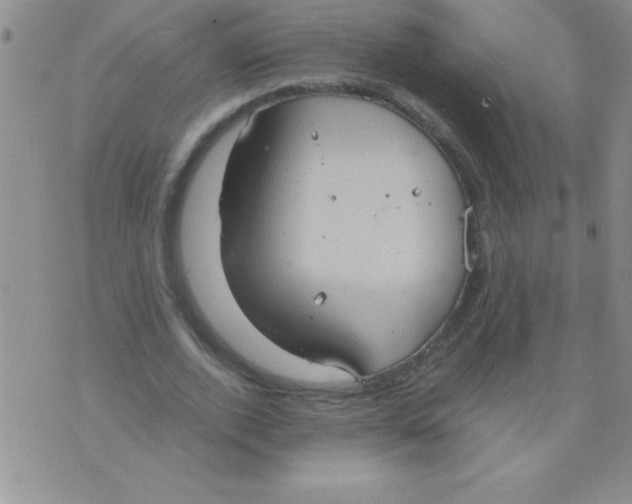 X0000075890728200610062052