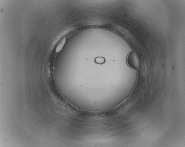 X0000075890731200610062052