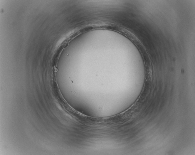 X0000075890732200610062052