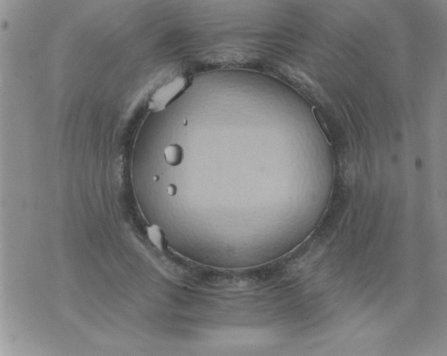 X0000075890735200610062052