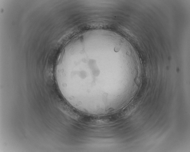 X0000075890737200610062052