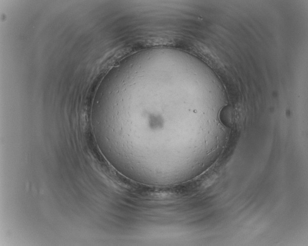 X0000075890741200610062052