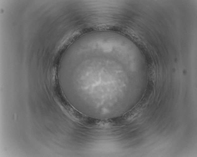 X0000075890742200610062052