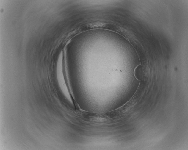 X0000075890743200610062052