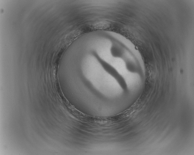 X0000075890745200610062052